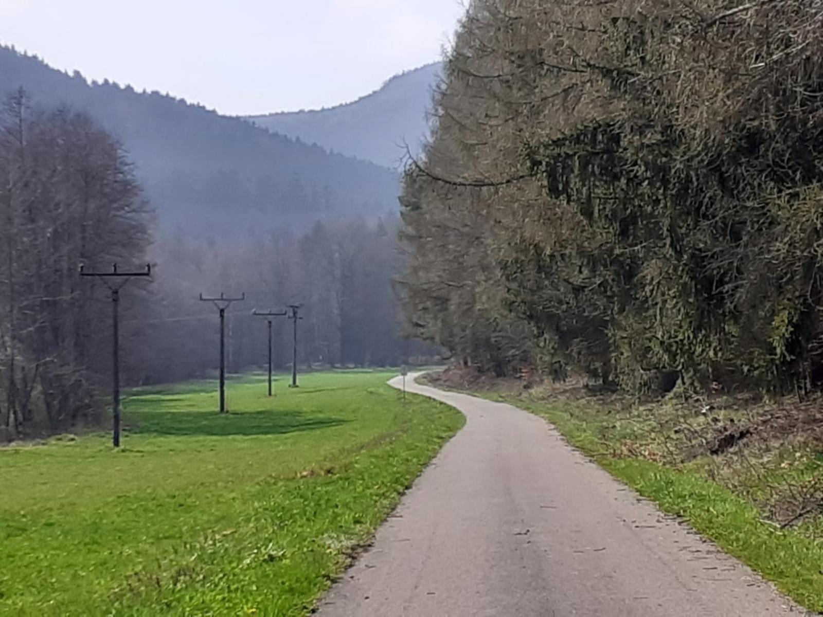 Otulina Dom W Gorach Stolowych Pod Szczelincem Pogranicze Pl-Cz Radkow Buitenkant foto