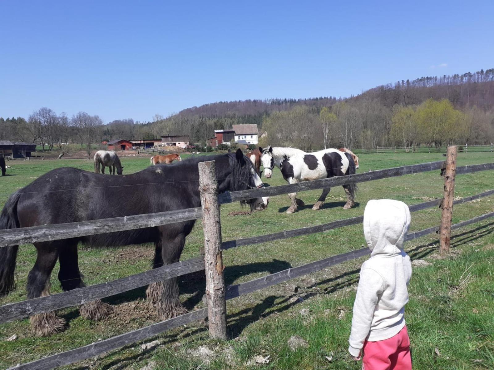 Otulina Dom W Gorach Stolowych Pod Szczelincem Pogranicze Pl-Cz Radkow Buitenkant foto